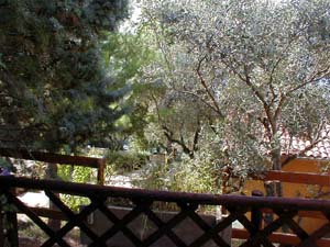 Appartement&nbsp;staragavza3