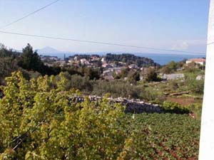 Appartement&nbsp;pino1