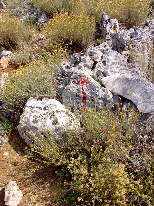 der Gebirgszug des Osorscica bei Nerezine / Osor auf der Insel Losinj