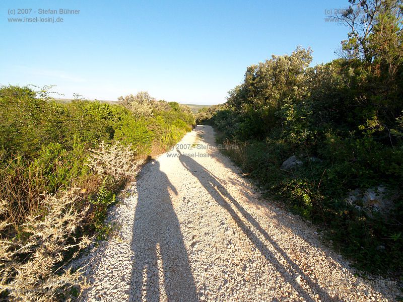 Wanderung zum Osorscica 2006