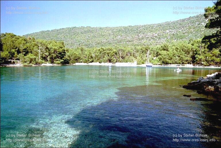 in der Bucht Krivica bei Veli Losinj in Kroatien